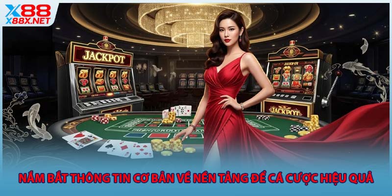 Nắm bắt thông tin cơ bản về nền tảng để cá cược hiệu quả